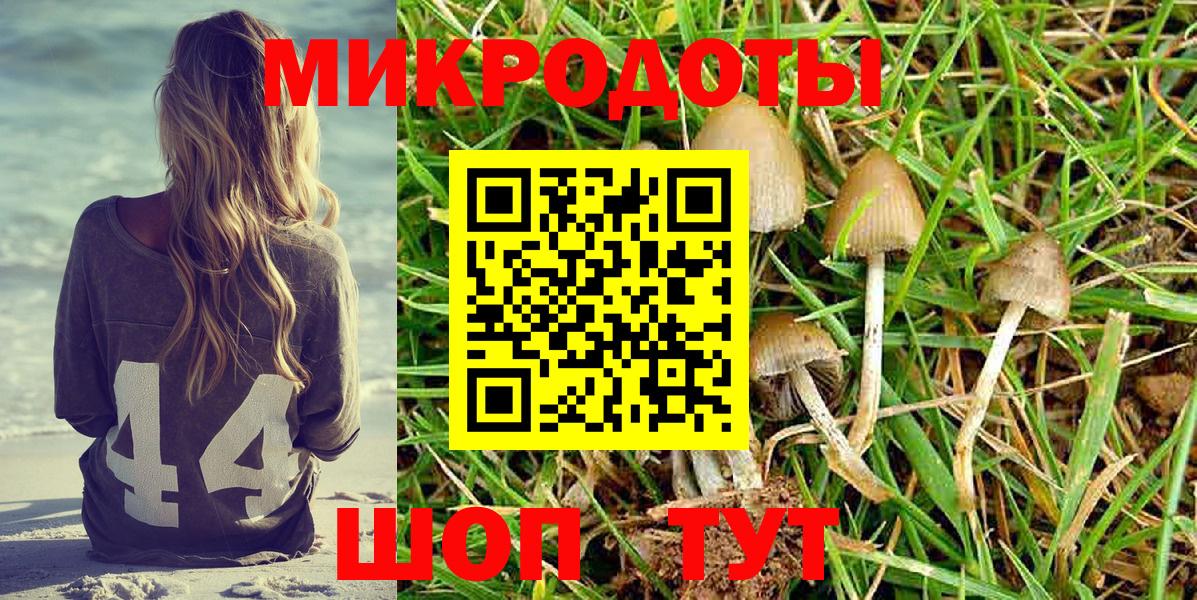 Галлюциногенные грибы MAGIC MUSHROOMS Рыбинск