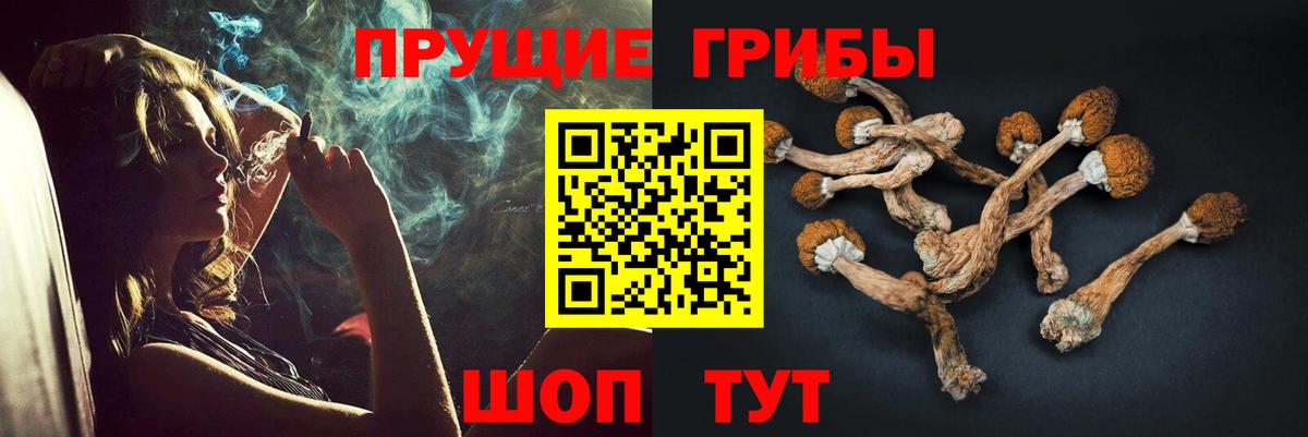 Рыбинск  Галлюциногенные грибы прущие грибы  Вход с VPN  Галлюциногенные грибы прущие грибы 